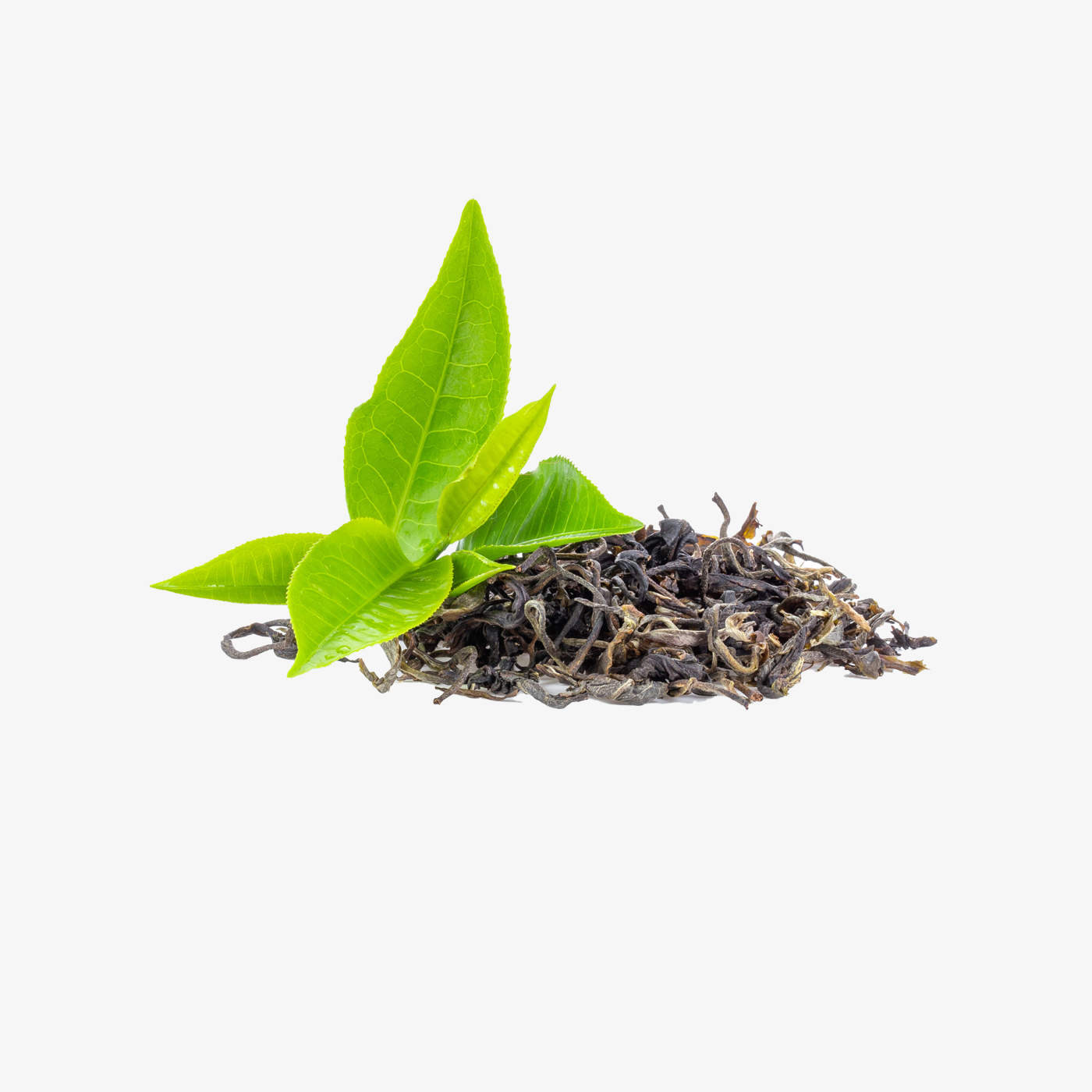 Tea – Health Bazaar